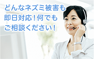 どんなネズミ被害も即日対応！何でもご相談ください！
