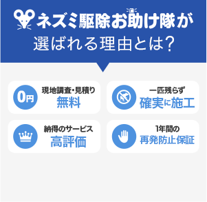 ネズミ駆除お助け隊が選ばれる理由とは？